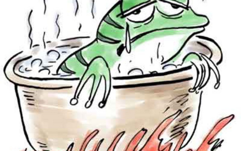 “温水煮青蛙”是一场骗局