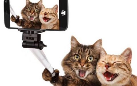 实在不知道说什么的2017